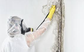 Best Mold Remediation for Healthcare Facilities  in Glen Ellen, CA